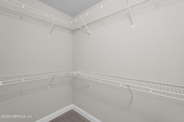 spacious closet featuring carpet floors