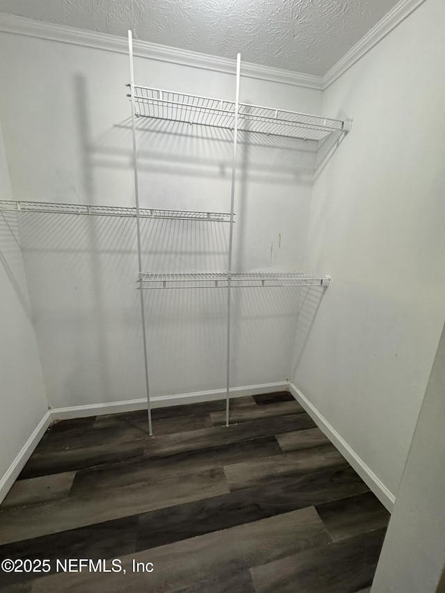 spacious closet with dark wood-type flooring