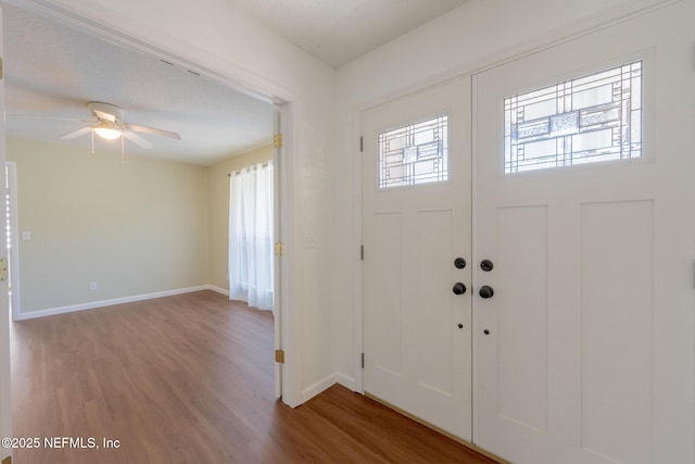 foyer featuring a wealth of natural light, baseboards, and wood finished floors