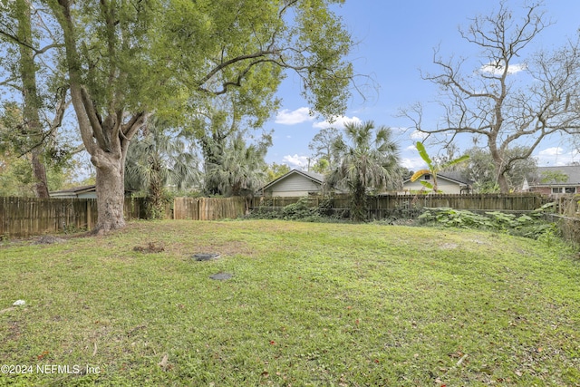 view of yard featuring a fenced backyard