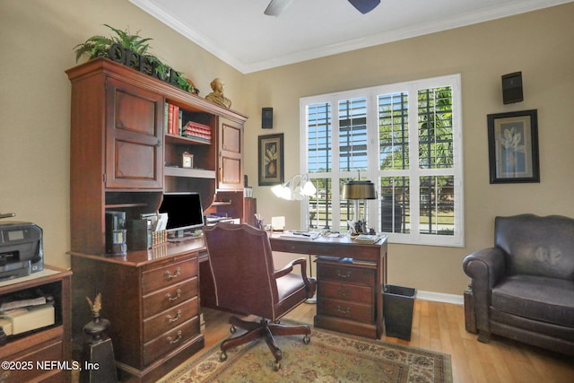 office space featuring baseboards, plenty of natural light, wood finished floors, and crown molding