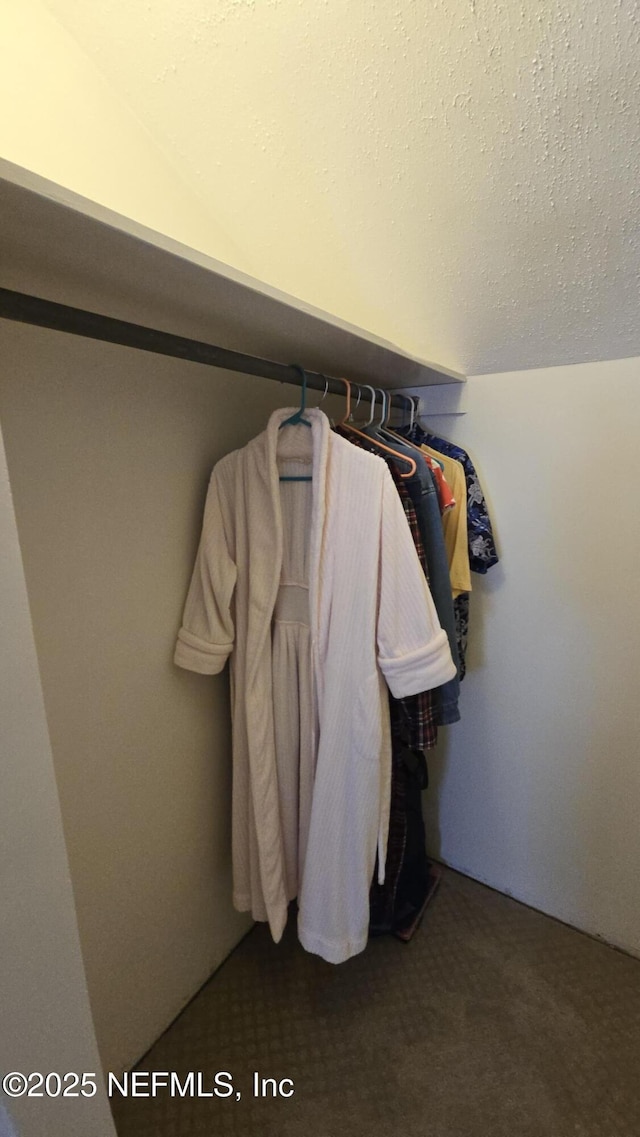 walk in closet with carpet