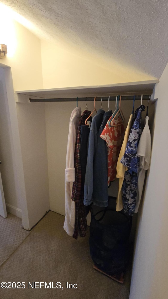 view of closet