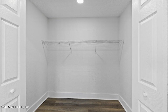 spacious closet featuring dark wood-style flooring