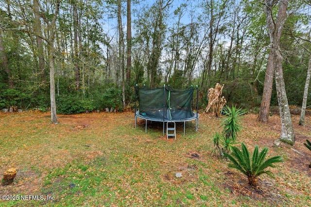 view of yard with a trampoline