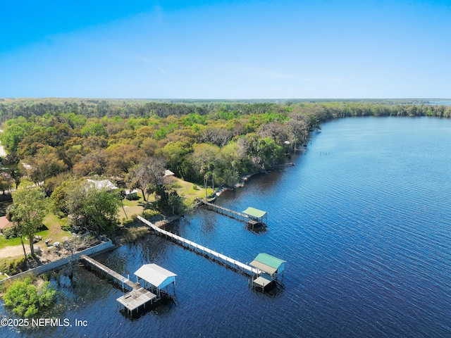 aerial view featuring a water view and a view of trees