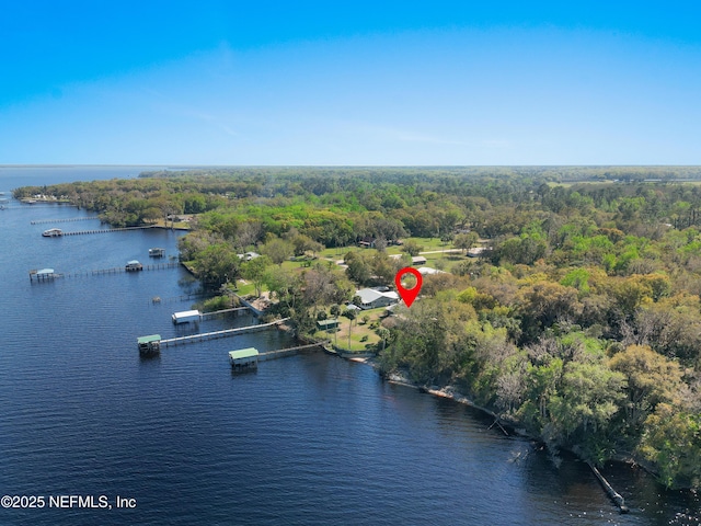 birds eye view of property with a view of trees and a water view