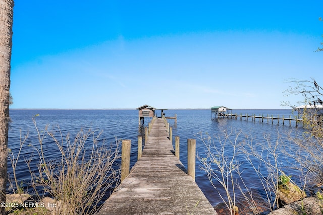 dock area with a water view