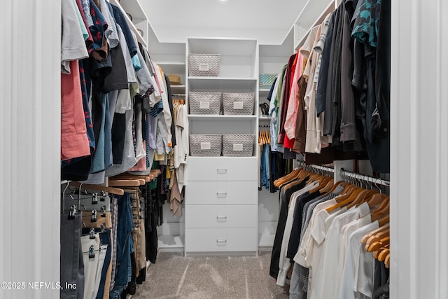 walk in closet with carpet flooring