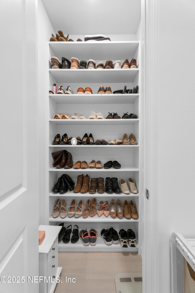 view of walk in closet