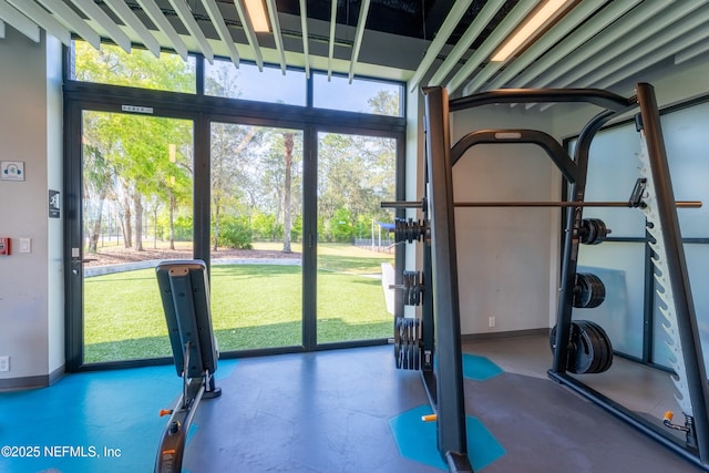 exercise room with baseboards and a wealth of natural light