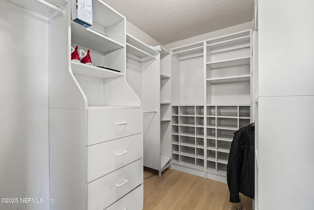 109 N Lake Cunningham Ave, Saint Johns, FL 32259 - walk in closet featuring light wood-style flooring