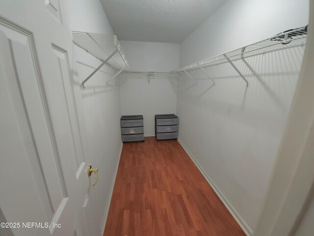 spacious closet with wood finished floors