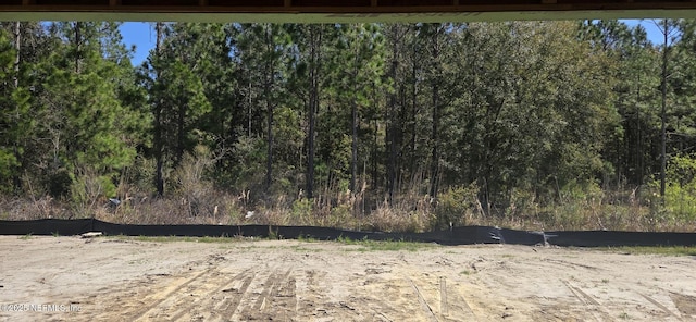 287 Sapling Ter, Saint Johns, FL 32259 - view of yard