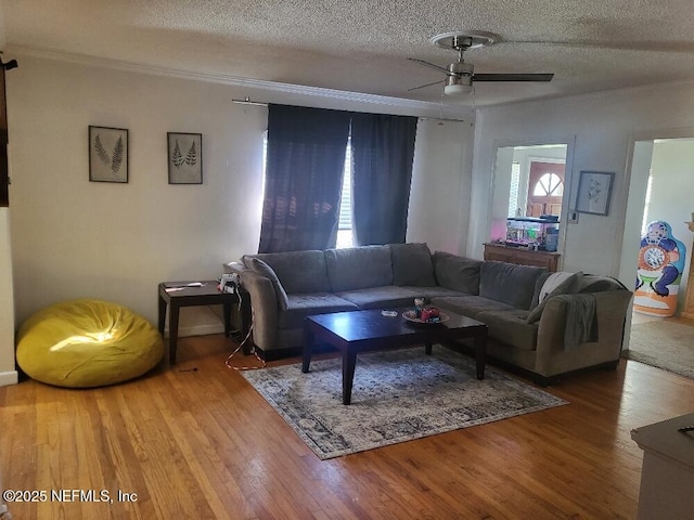 living room featuring a ceiling fan, wood finished floors, and a textured ceiling