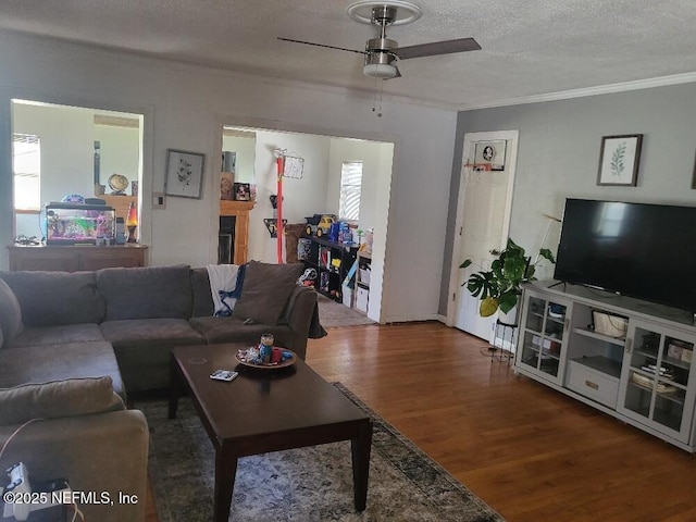 living area featuring a textured ceiling, crown molding, a ceiling fan, and wood finished floors