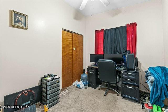 home office with ceiling fan and carpet flooring