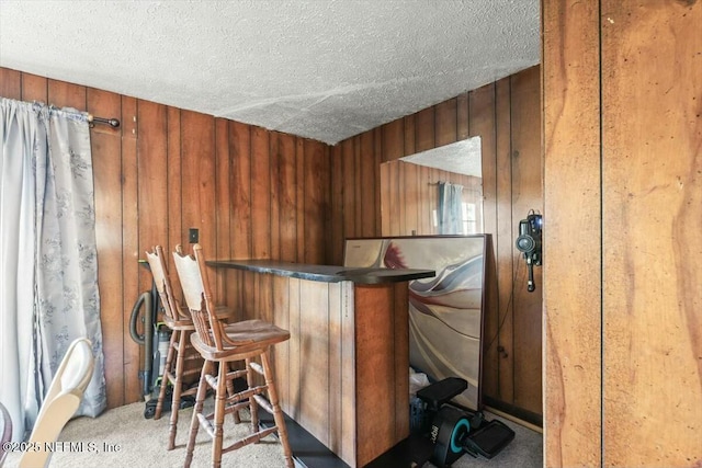 bar with a dry bar, wooden walls, carpet floors, and a textured ceiling