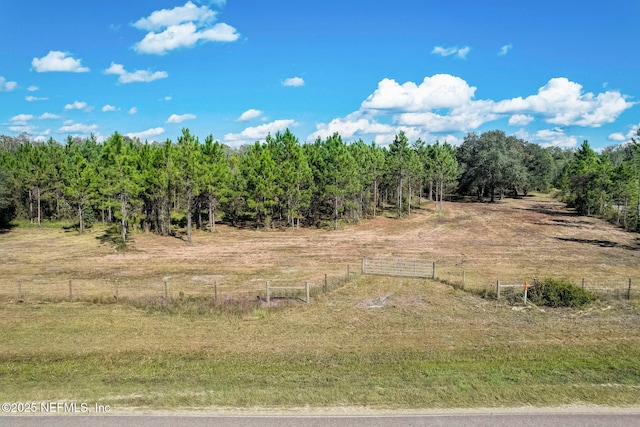 TBD County Road 121, Hilliard FL, 32046 land for sale