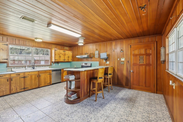 kitchen featuring brown cabinets, under cabinet range hood, a sink, stainless steel appliances, and light countertops