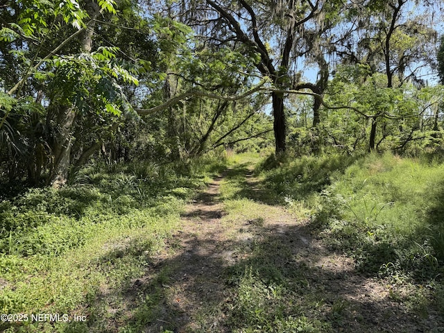 0 Lehardy Rd, Crescent City, FL 32112