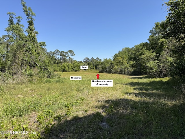 0 Lehardy Rd, Crescent City, FL 32112