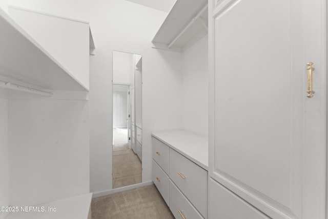 spacious closet with light colored carpet