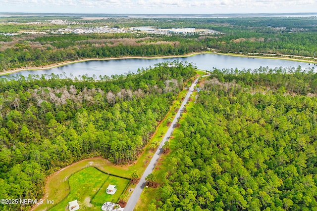 bird's eye view with a wooded view and a water view