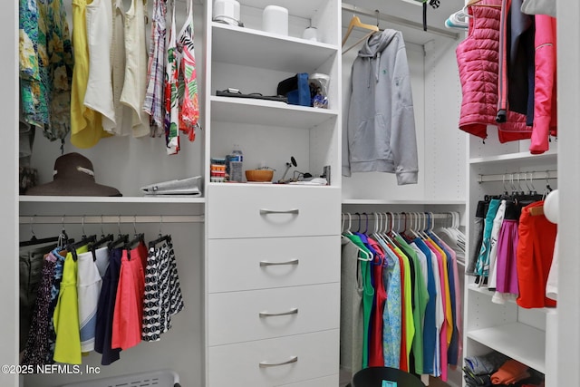 view of spacious closet