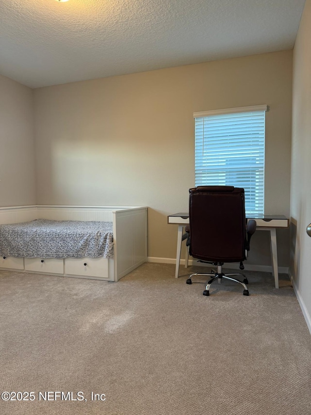 office featuring carpet flooring, baseboards, and a textured ceiling