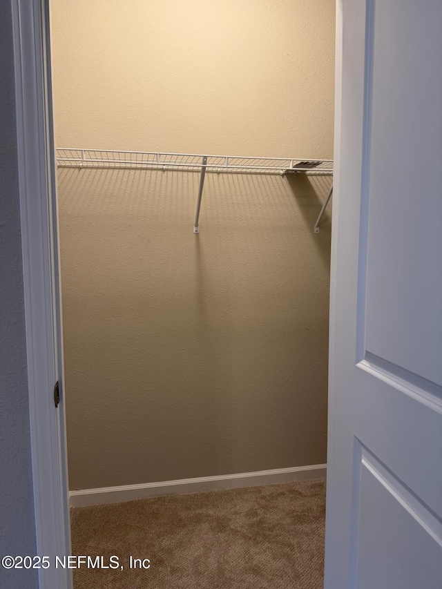 walk in closet featuring carpet flooring