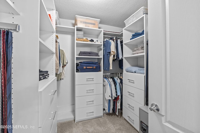 walk in closet featuring light carpet