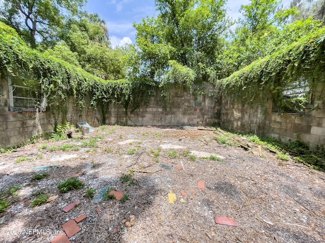 417 N 3rd St, Palatka, FL 32177 - view of fenced backyard