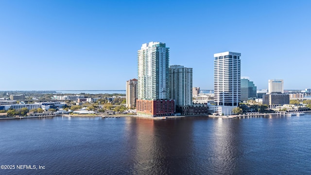 view of water feature with a city view
