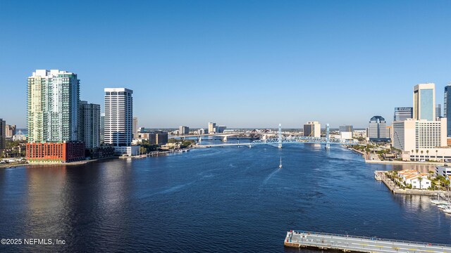 water view featuring a view of city