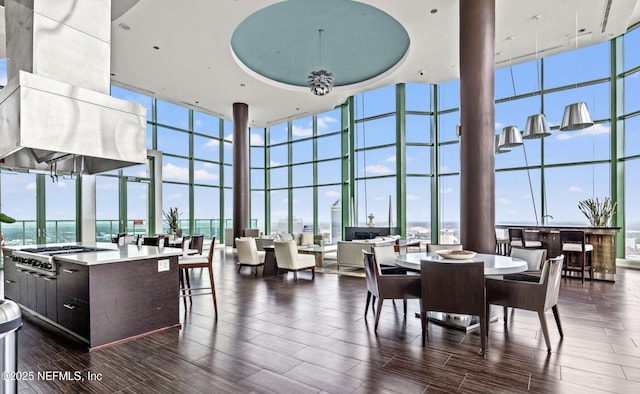 dining room with a tray ceiling, decorative columns, wood finish floors, and expansive windows