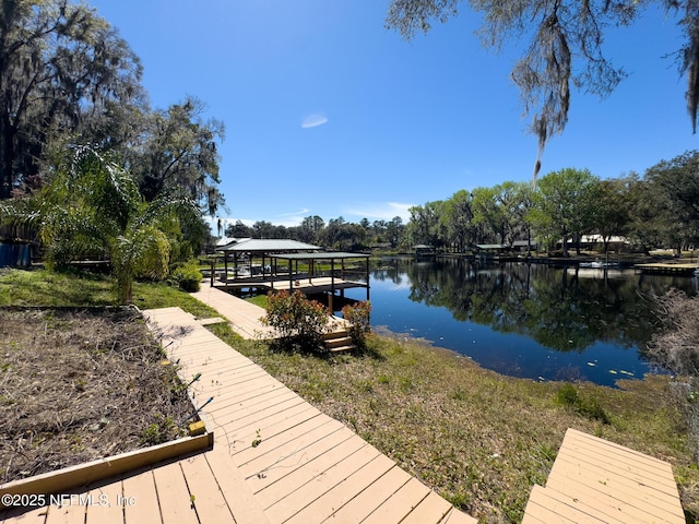 dock area with a water view