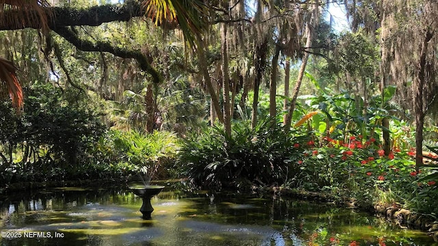 view of water feature with a view of trees