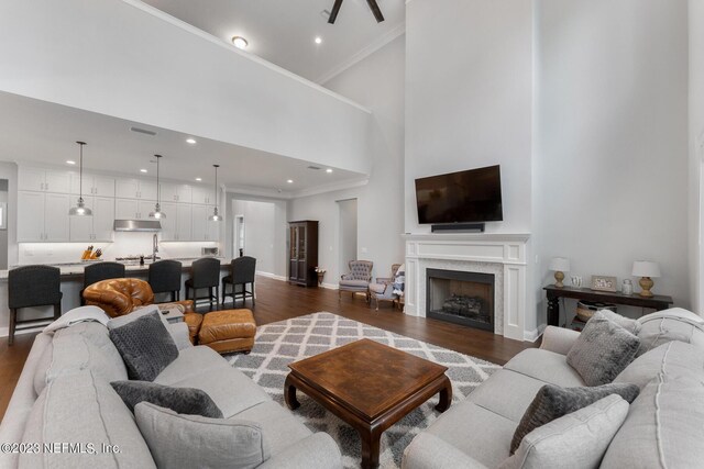 living area with a high ceiling, a fireplace, dark wood-style flooring, and crown molding