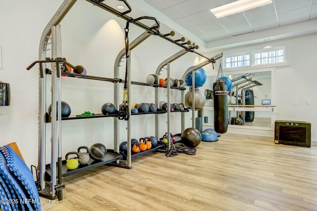 exercise area featuring a paneled ceiling and wood finished floors