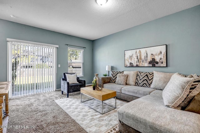 living room with carpet and a textured ceiling