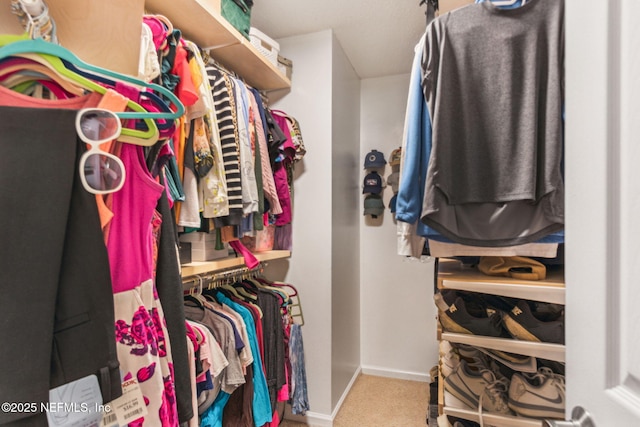 walk in closet with carpet flooring