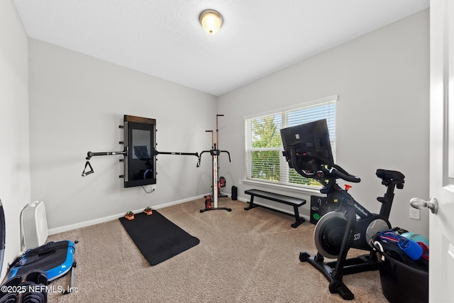 exercise area with baseboards and carpet