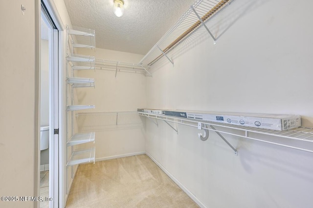 spacious closet featuring light carpet