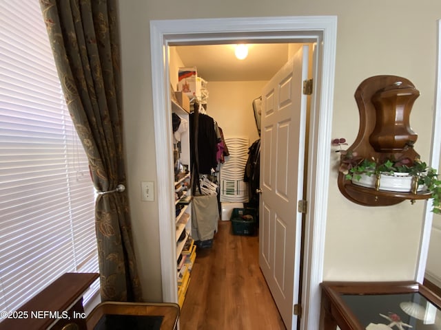 hall featuring wood finished floors