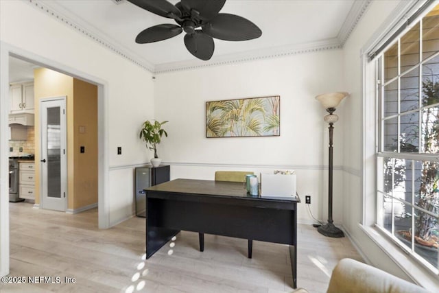 office featuring crown molding, light wood-type flooring, and ceiling fan