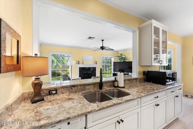 kitchen with ornamental molding, a fireplace, a wealth of natural light, and a sink