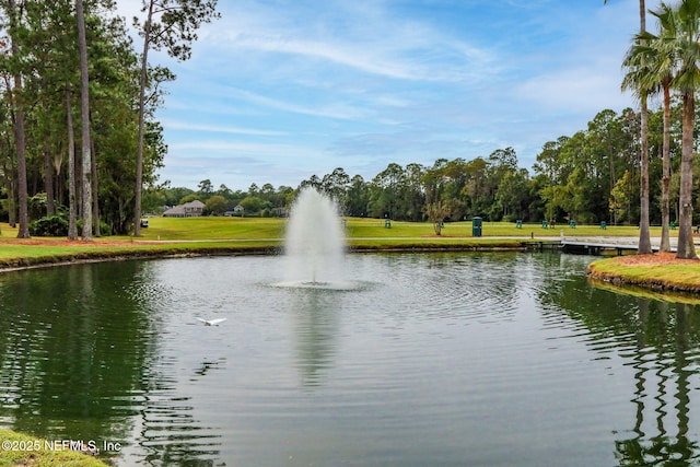 view of water feature