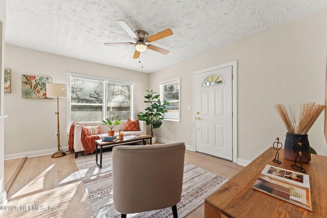 4517 Delta Ave, Jacksonville, FL 32205 - living room featuring light wood-type flooring, a textured ceiling, and a ceiling fan