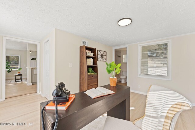 4517 Delta Ave, Jacksonville, FL 32205 - home office featuring a textured ceiling and light wood finished floors